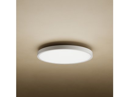 Xiaomi Mi Smart LED Ceiling Light D20