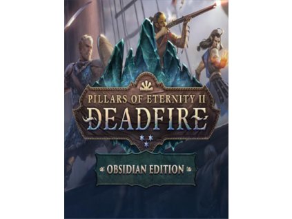 Pillars of Eternity II: Deadfire - Obsidian Edition (PC) GOG.COM Key