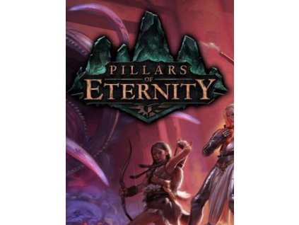 Pillars of Eternity - Hero Edition (PC) GOG.COM Key