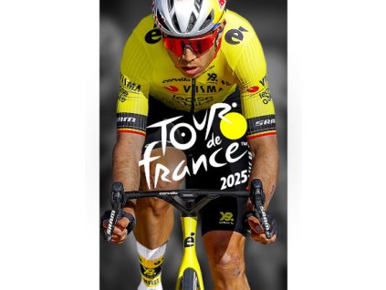 Tour de France 2025 (PC) Steam Key