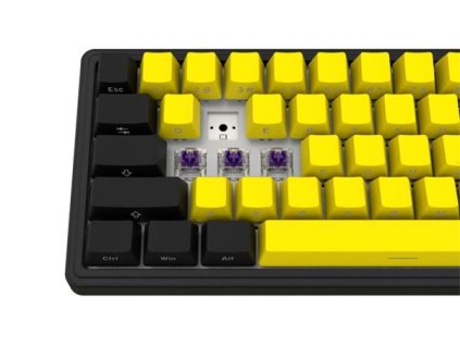 e96eccbe18ca51ad6168be7d8a1ed294