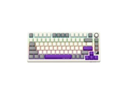 6f5e6507982acb36a79cab524613890c