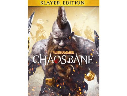 Warhammer: Chaosbane - Slayer Edition DLC (PC) Steam Key