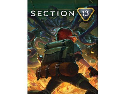 Section 13 (PC) Steam Key