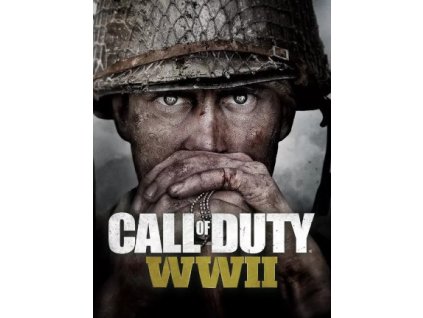 Call of Duty: WWII - Call of Duty Endowment Bravery Pack DLC (PC) Steam Key