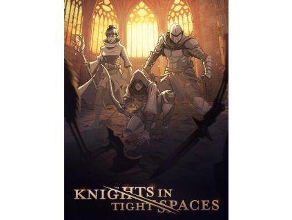 Knights in Tight Spaces (PC) Steam Key