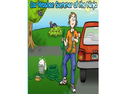 Car Washer: Summer of the Ninja (PC) Steam Key