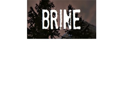 Brine (PC) Steam Key