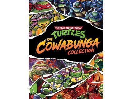 Teenage Mutant Ninja Turtles: The Cowabunga Collection (PC) Steam Key