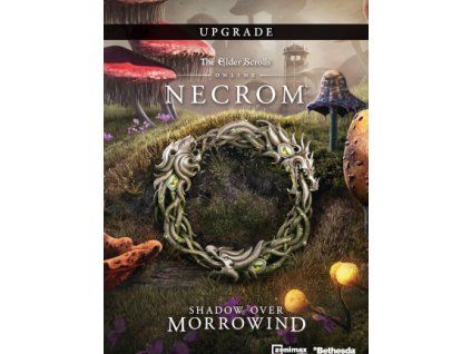 The Elder Scrolls Online Upgrade: Necrom DLC (PC) Steam Key