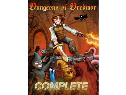 Dungeons of Dredmor Complete (PC) Steam Key