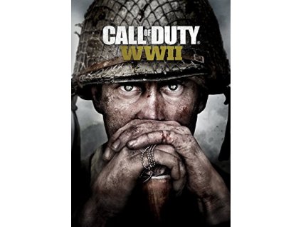 Call of Duty: WWII - Standard Edition (PC) Microsoft Key