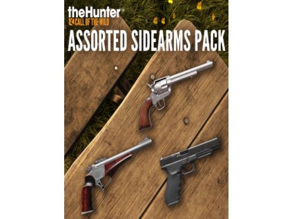 TheHunter: Call of the Wild - Assorted Sidearms Pack DLC (PC) Steam Key