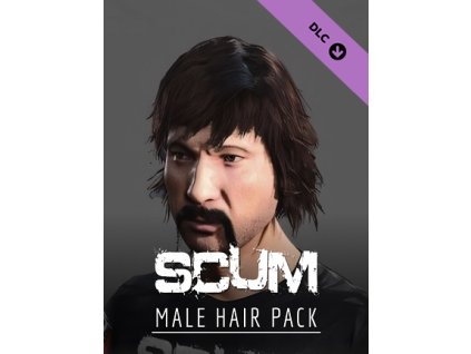 SCUM Male Hair Pack (PC) Steam Key