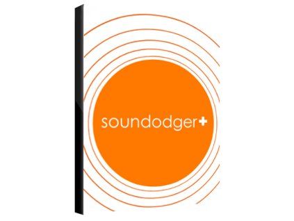 Soundodger (PC) Steam Key