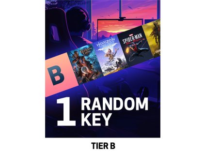 TIER B Random 1 Key (PC) Steam Key