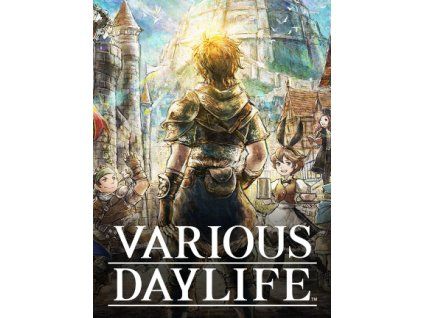VARIOUS DAYLIFE (PC) Steam Key