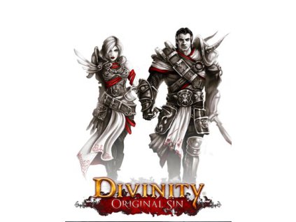 Divinity: Original Sin - Enhanced Edition Collector's Edition (PC) GOG.COM Key