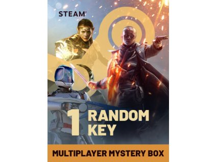 Multiplayer Mystery Box - Random 1 Key (PC) Steam Key