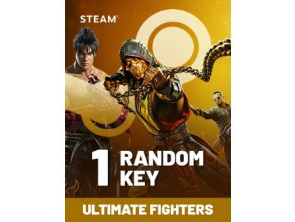 Ultimate Fighters Random 1 Key (PC) Steam Key