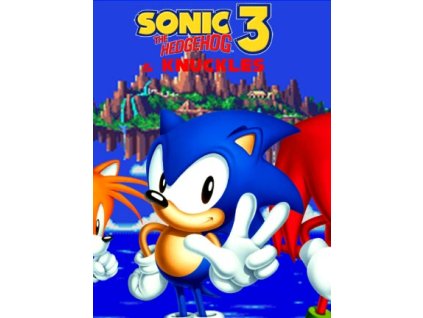 Sonic 3 and Knuckles (PC) Steam Key