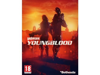 Wolfenstein: Youngblood - Deluxe Edition (PC) Steam Key