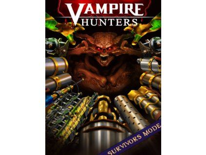 Vampire Hunters (PC) Steam Key
