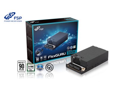 FSP FlexGURU 300W icons logo 1 s
