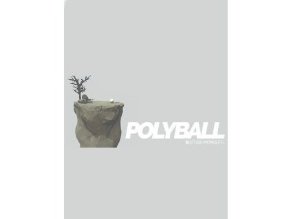 Polyball (PC) Steam Key