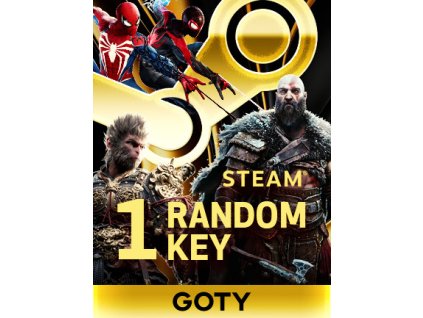 Game of The Year - Random 1 Key (PC) Steam Key