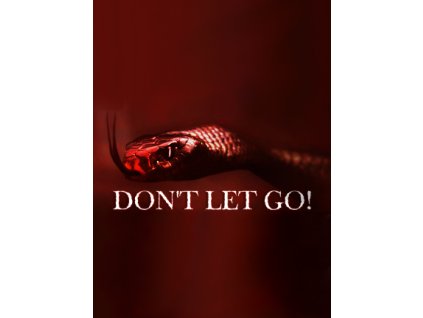 Don't Let Go! VR (PC) Steam Key