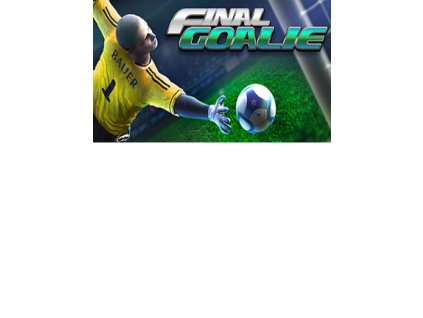 Final Goalie: Football simulator VR (PC) Steam Key