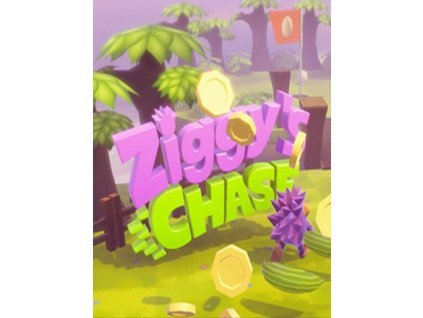 Ziggy's Chase VR (PC) Steam Key