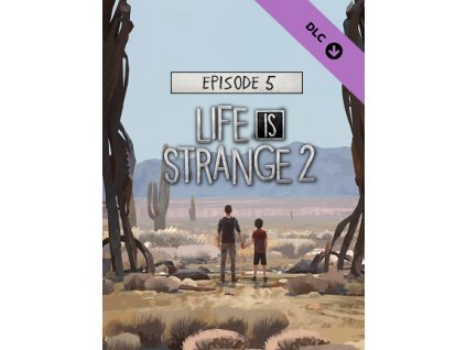 Life is Strange 2 - Episode 5 (PC) Steam Key