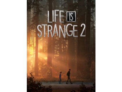 Life is Strange 2 - Episode 4 (PC) Steam Key