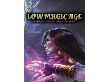 Low Magic Age (PC) Steam Key
