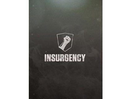 Insurgency (PC) Steam Key