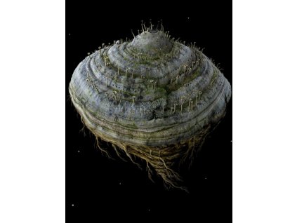 Samorost 2 (PC) Steam Key