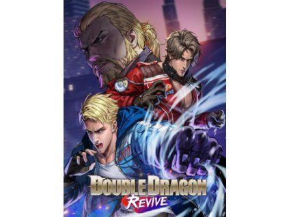 Double Dragon Revive (PC) Steam Key