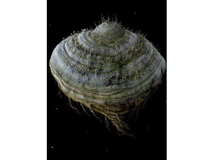 Samorost 2 (PC) Steam Key