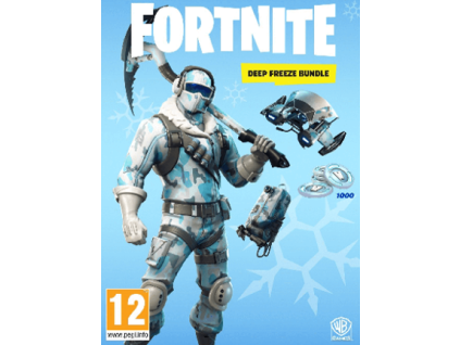 Fortnite Deep Freeze Bundle + 1000 V-Bucks DLC (SWITCH) Nintendo Key