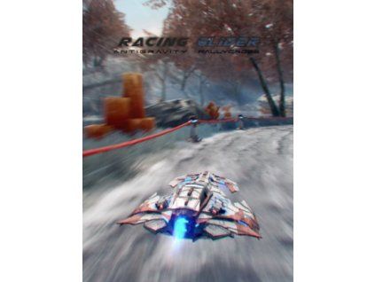 Racing Glider (PC) Steam Key