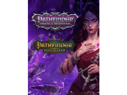 Pathfinder – Collector’s Edition (PC) Steam Key
