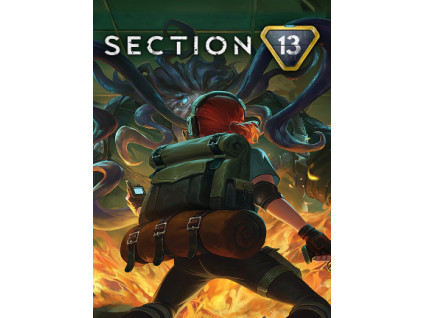 Section 13 (PC) Steam Key