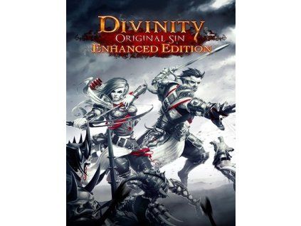 Divinity: Original Sin - Enhanced Edition (PC) - GOG.COM Key - EUROPE