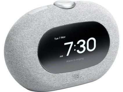 250626124548 jbl horizon3 grey