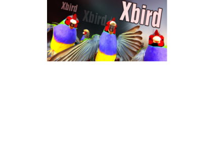 Xbird (PC) Steam Key