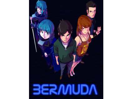 Bermuda (PC) Steam Key