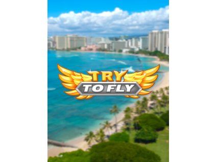 Try to Fly (PC) Steam Key