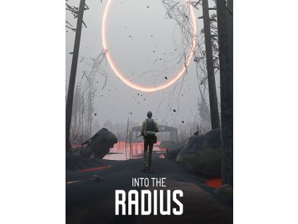 Into the Radius VR (PC) Steam Key